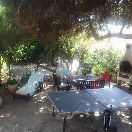 B&B Villa Piera Montecucco Stintino Exteriör bild