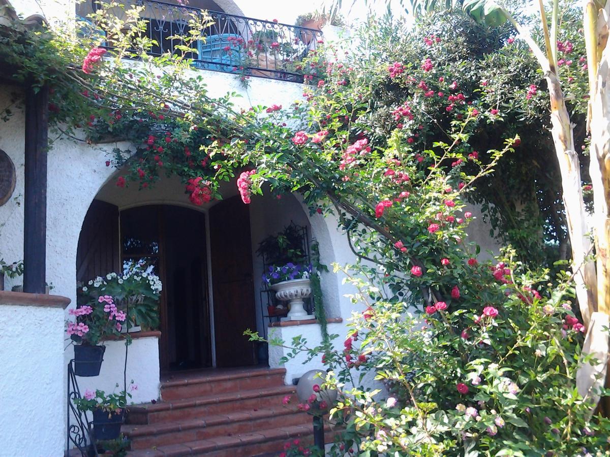 B&B Villa Piera Montecucco Stintino Exteriör bild
